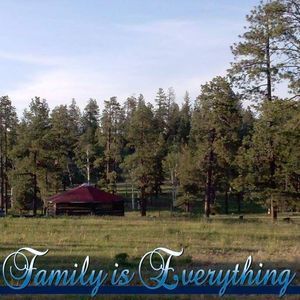 Meet your Posher, Ceria